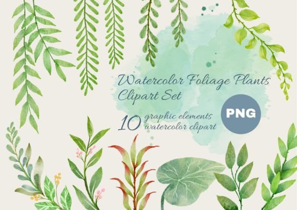 Download Watercolor Foliage Plants Clipart Set - Set Collection