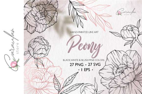 Download Peonies Line Drawing, Floral Line Art - Floral Collection